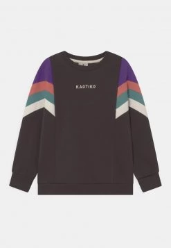 Kaotiko CREW SEATTLE UNISEX - Sweatshirt - Grey/purple/rouge/basil